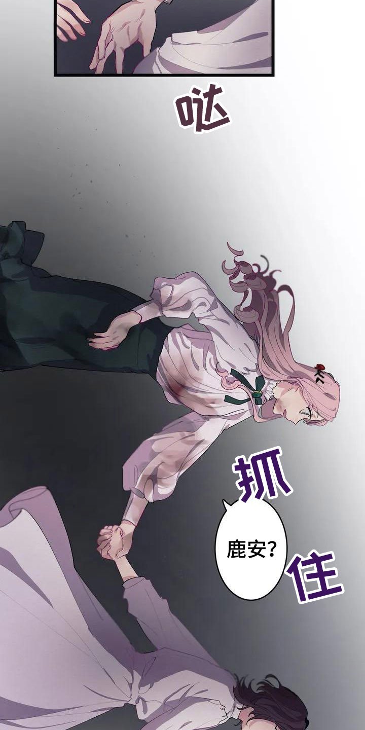 第3章：厨房噩梦