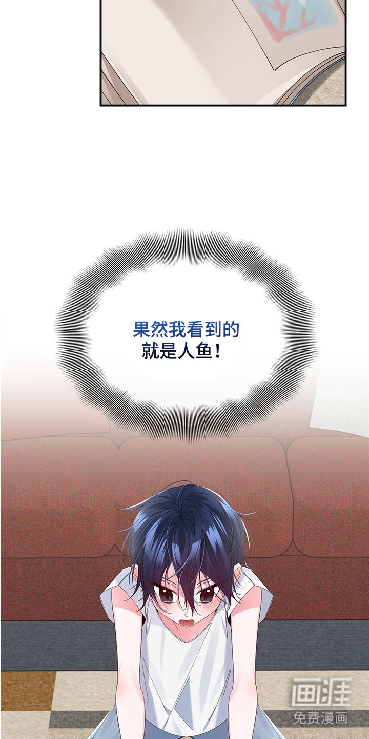 第2章：确认