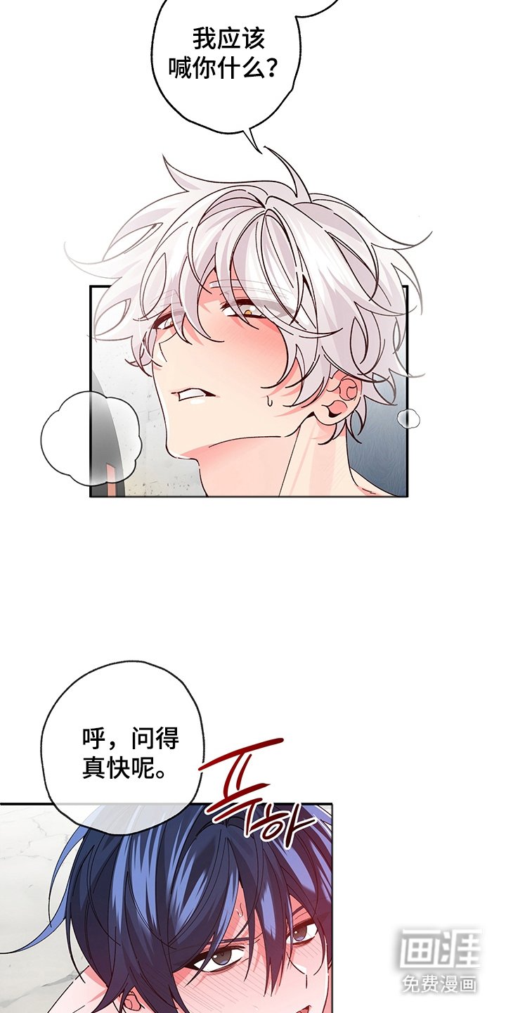 第5章：我的名字