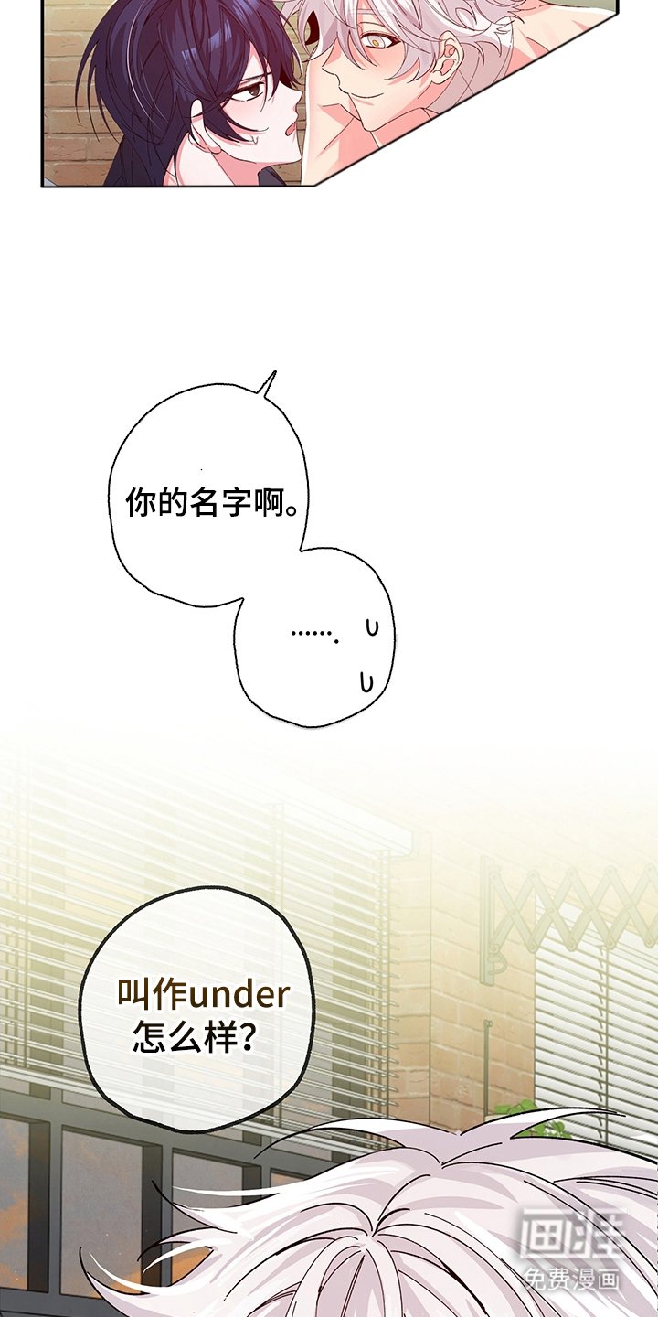 第5章：我的名字