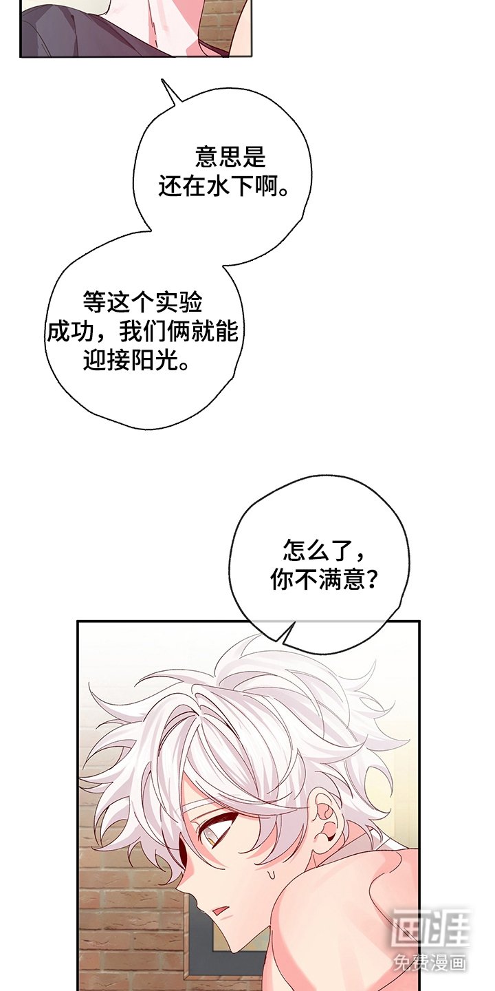 第5章：我的名字