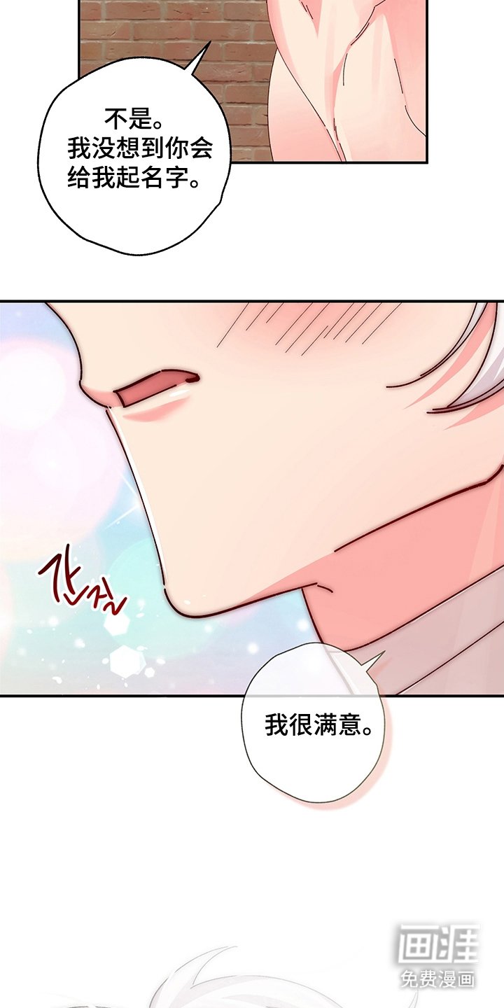 第5章：我的名字