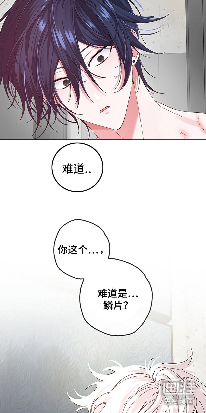 第6章：成果