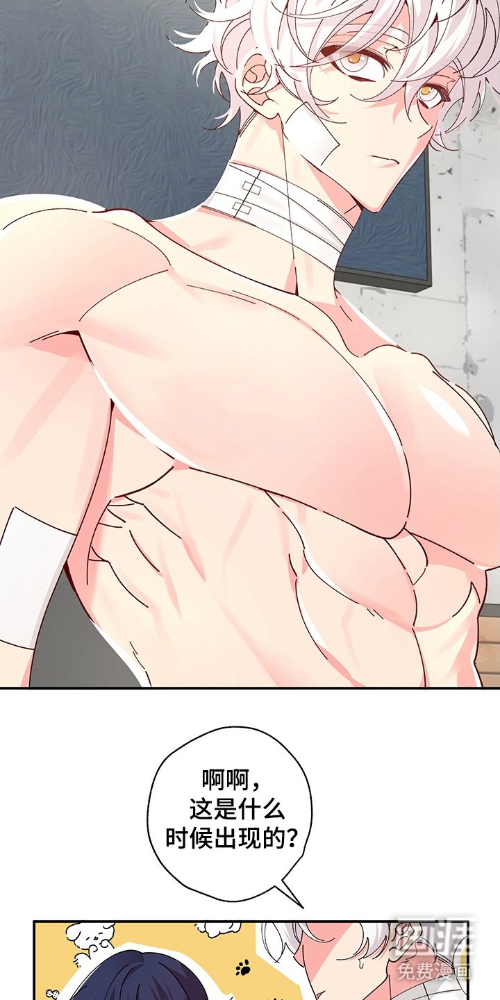 第6章：成果