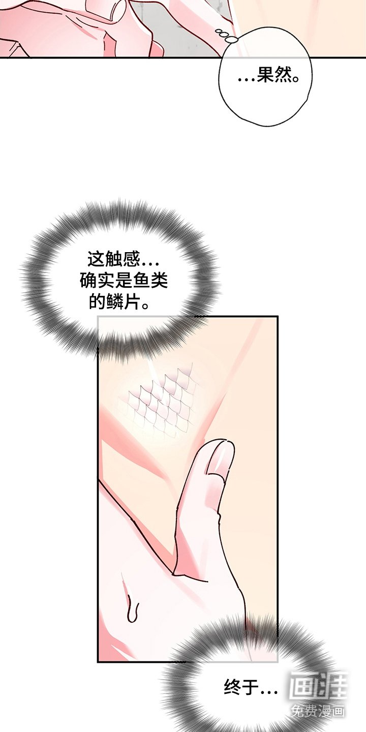 第6章：成果