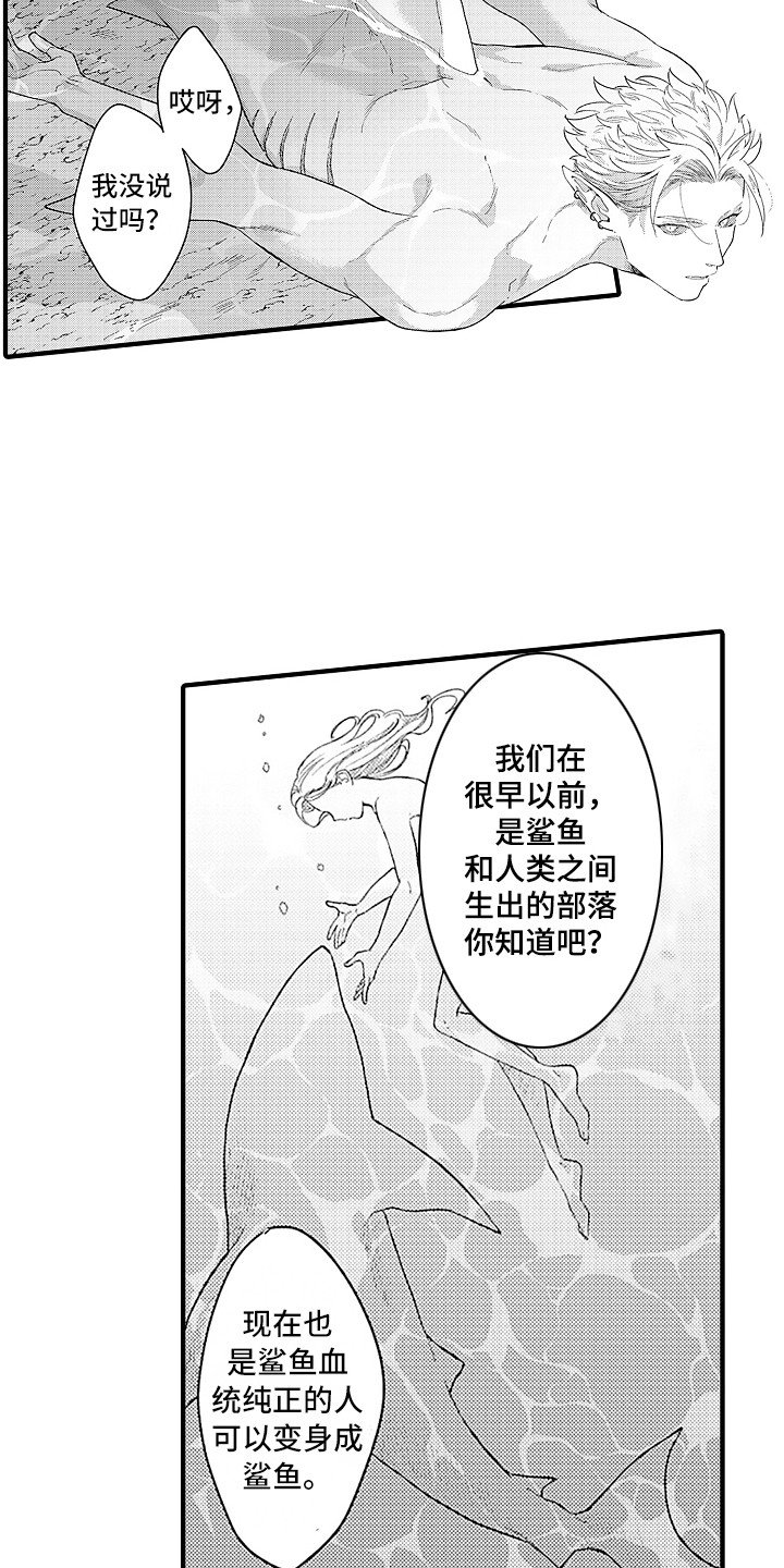 第10章：变身鲨鱼