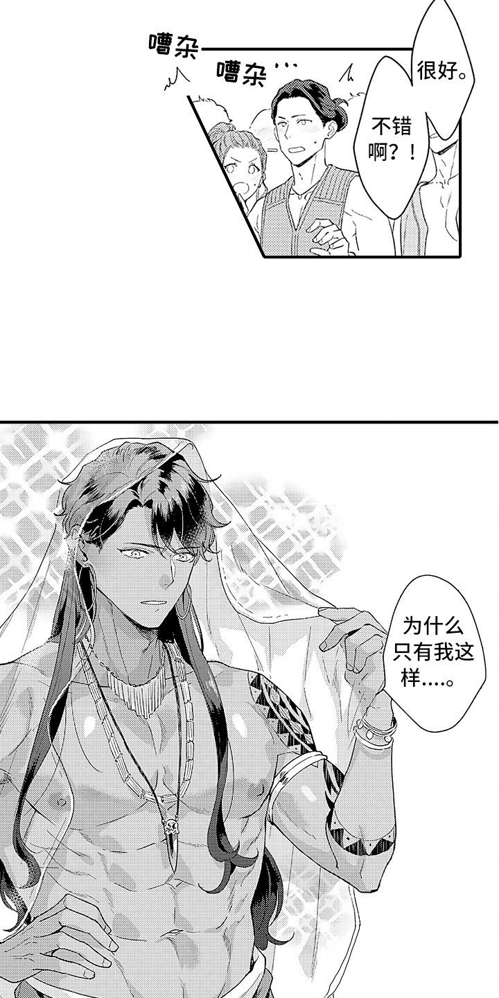 第15章：受欢迎