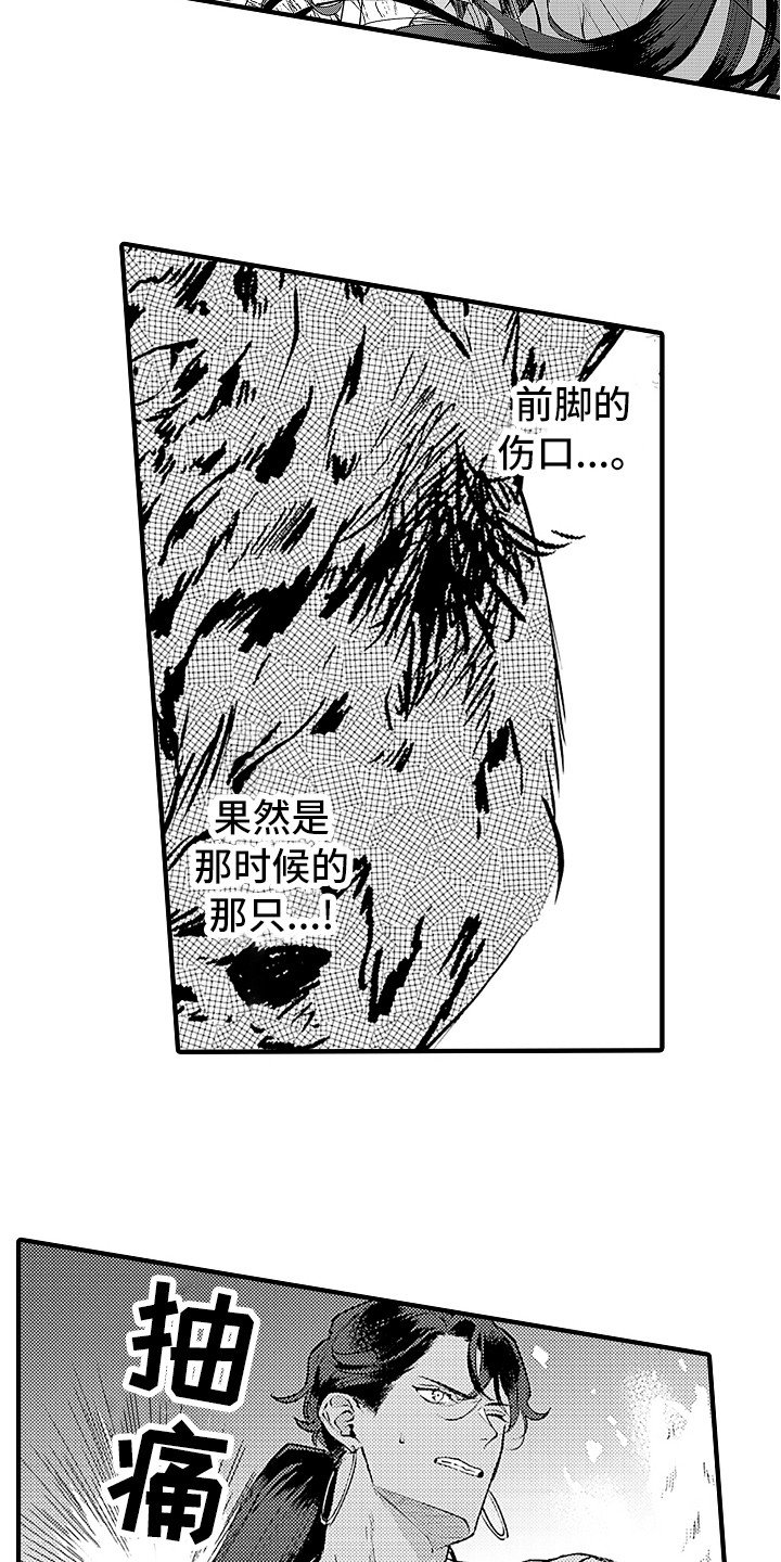 第19章：曾经那只