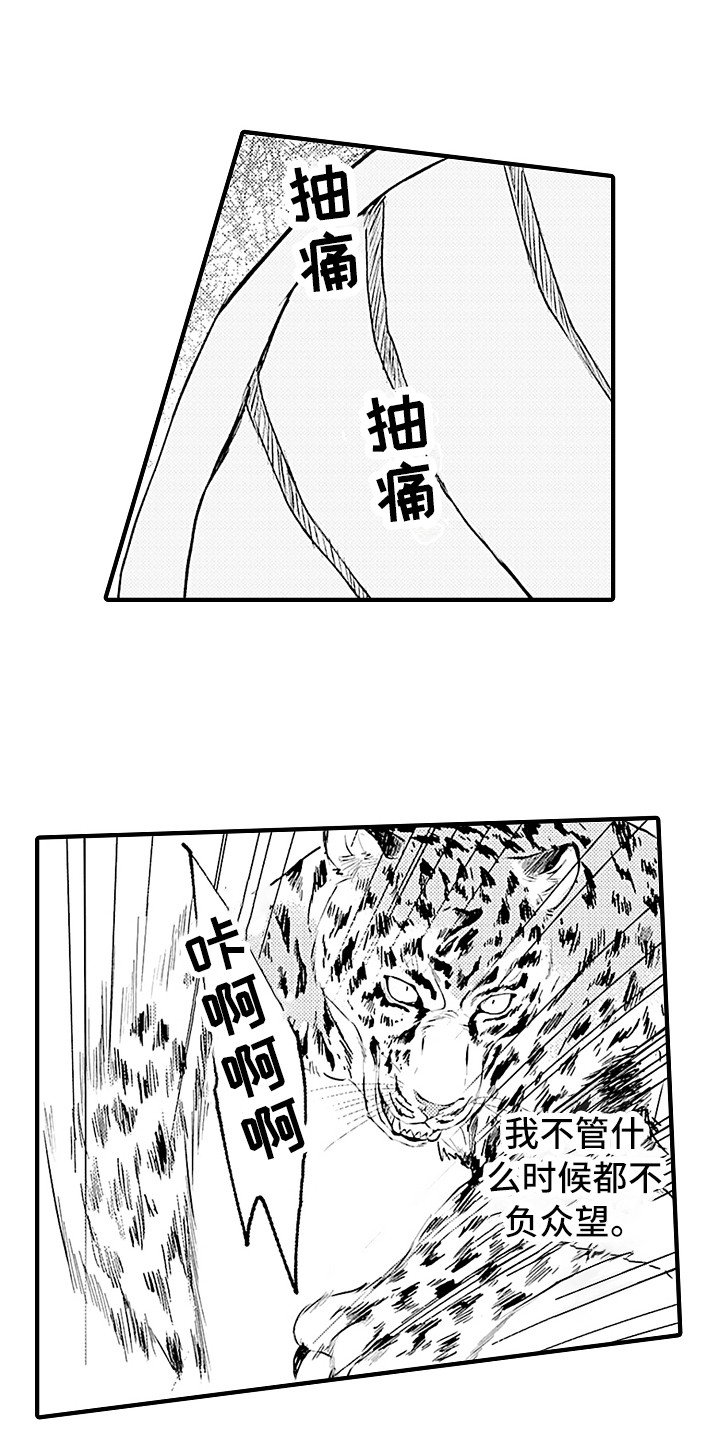 第20章：配合