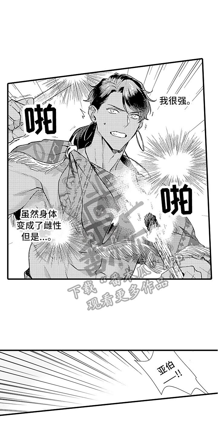 第20章：配合