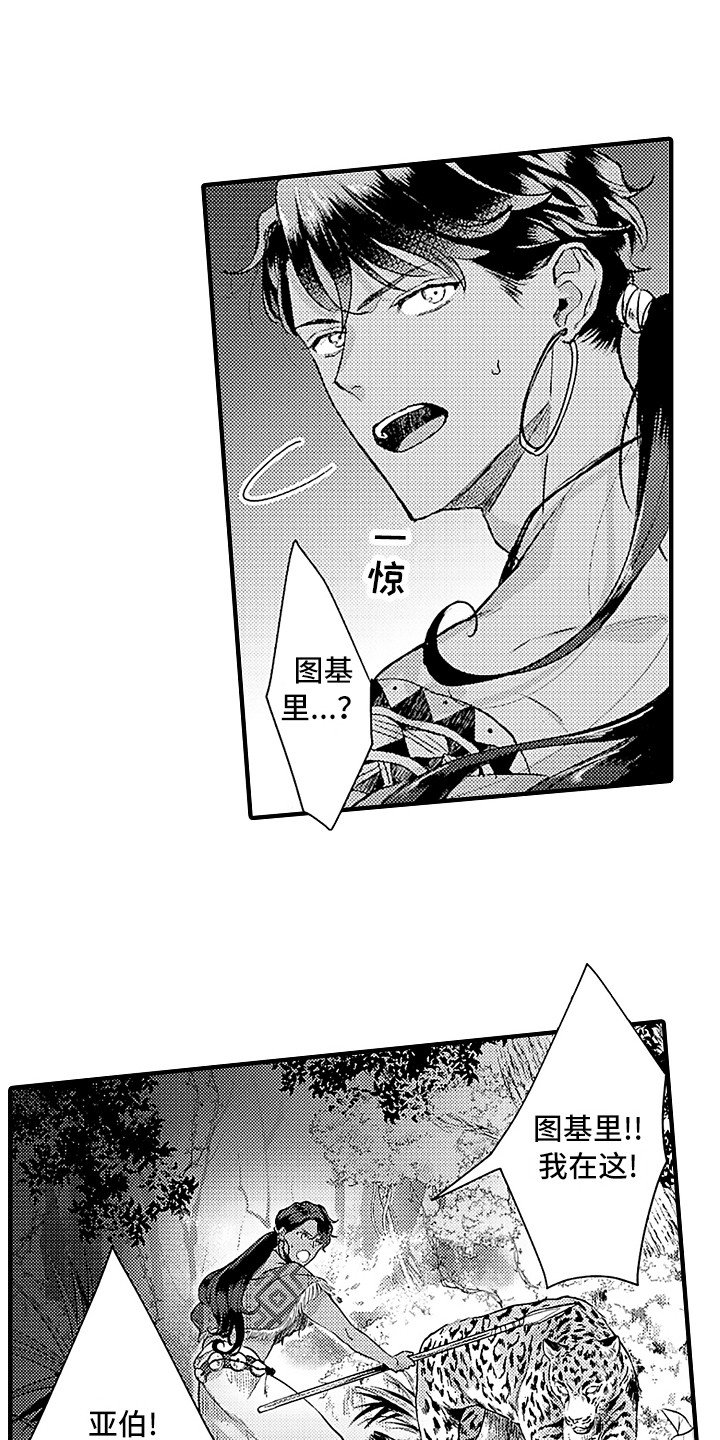 第20章：配合