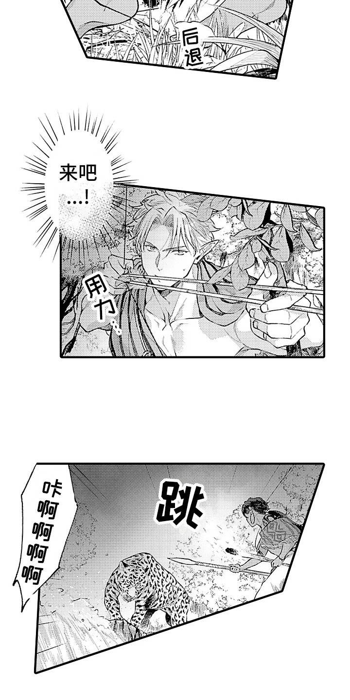 第20章：配合