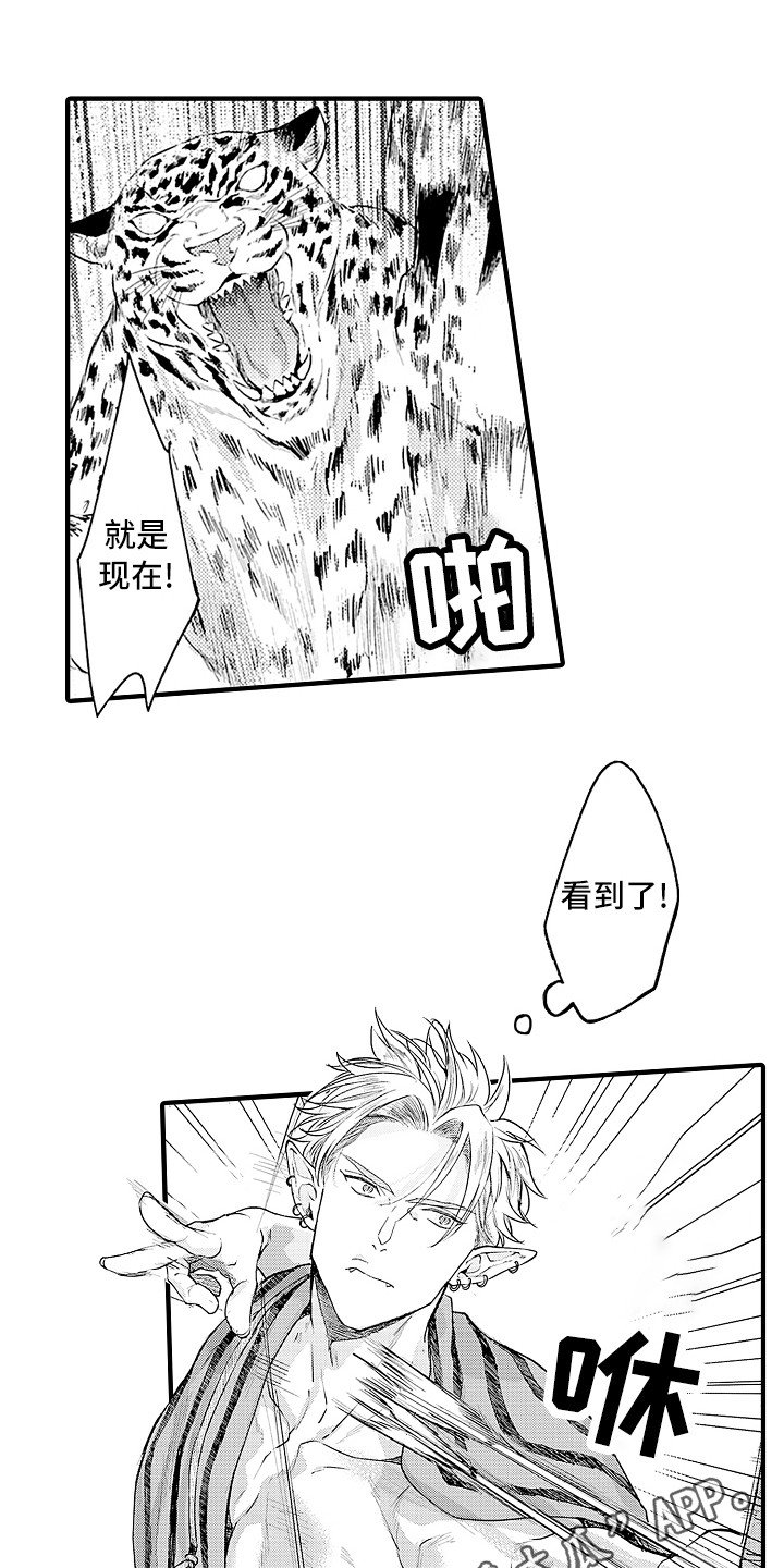 第20章：配合
