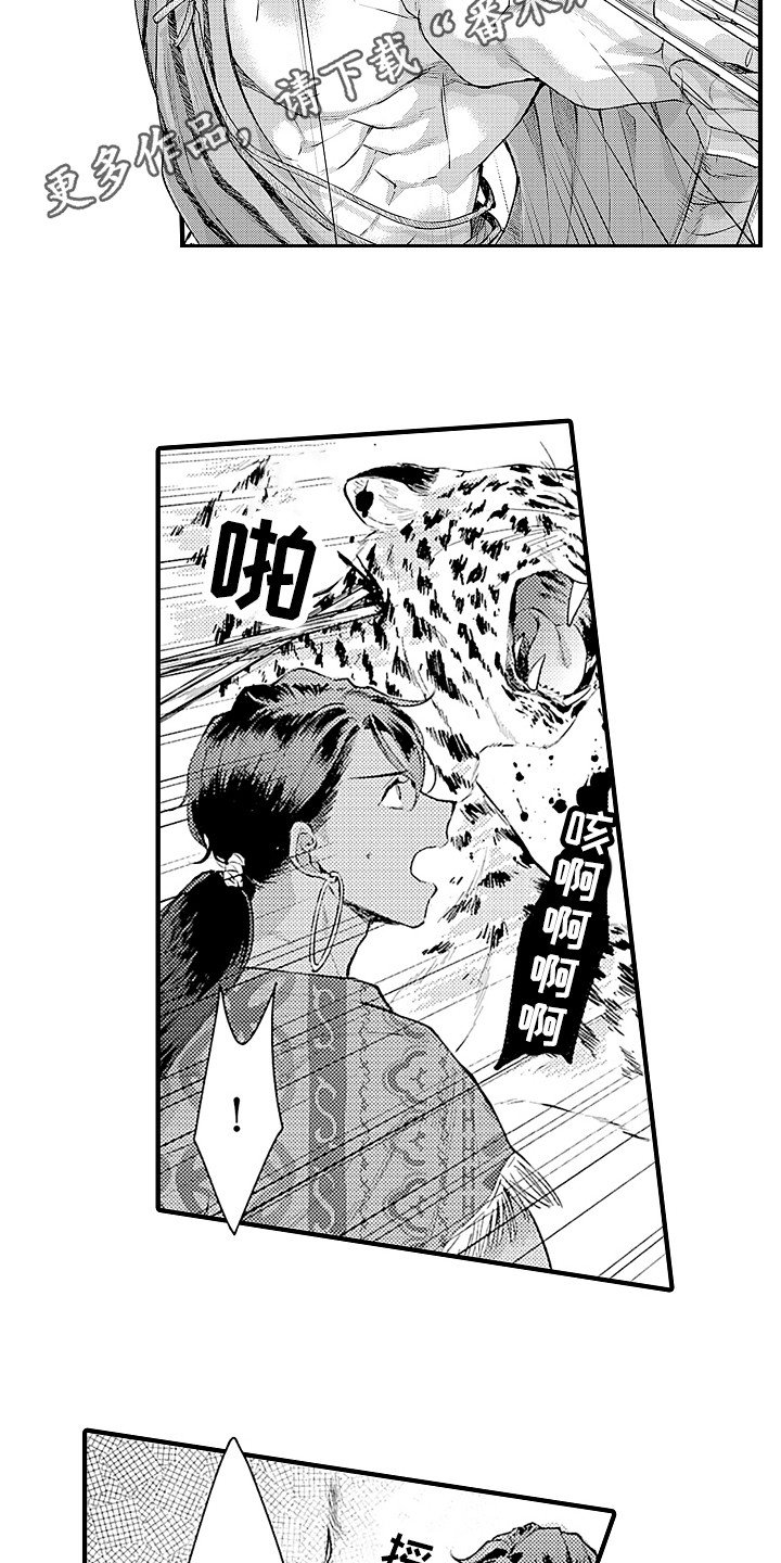 第20章：配合