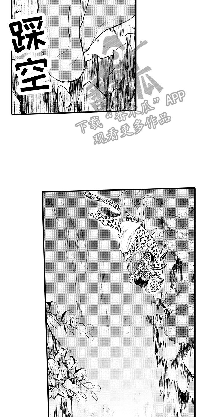 第20章：配合