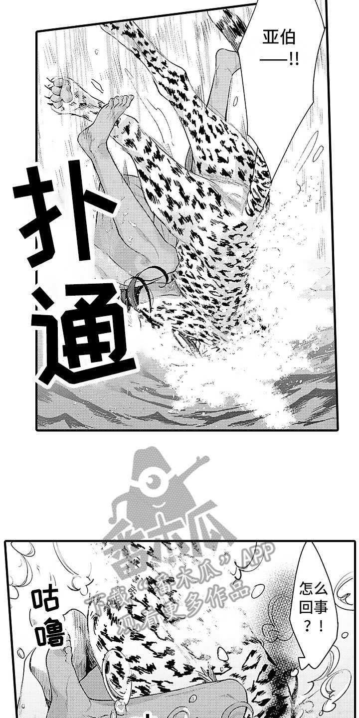 第20章：配合