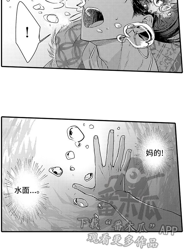 第20章：配合