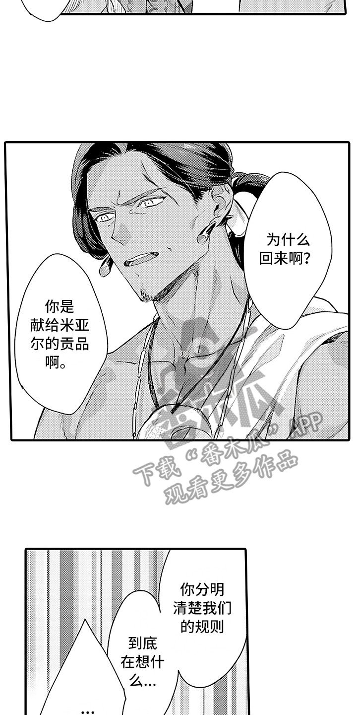 第24章：规则