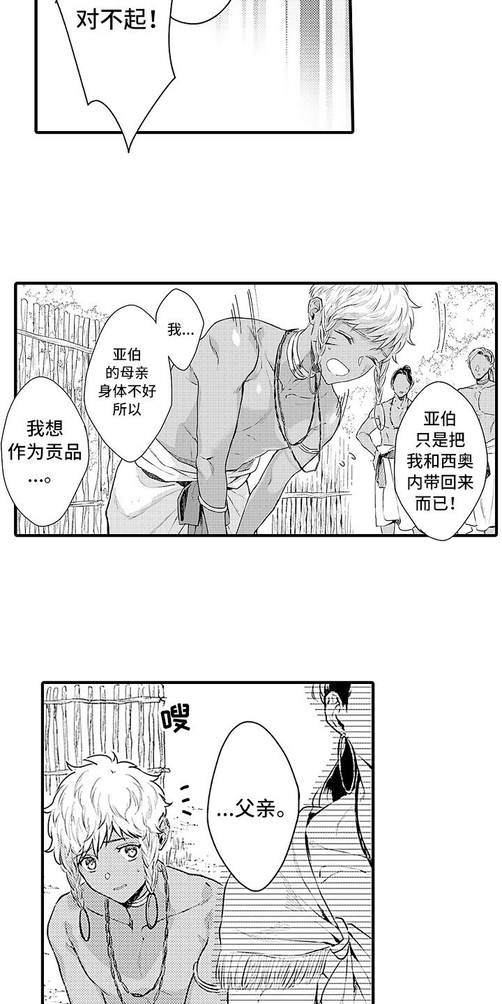 第24章：规则