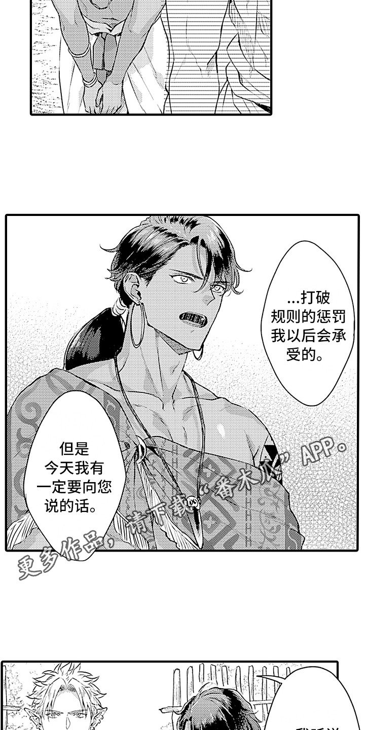 第24章：规则