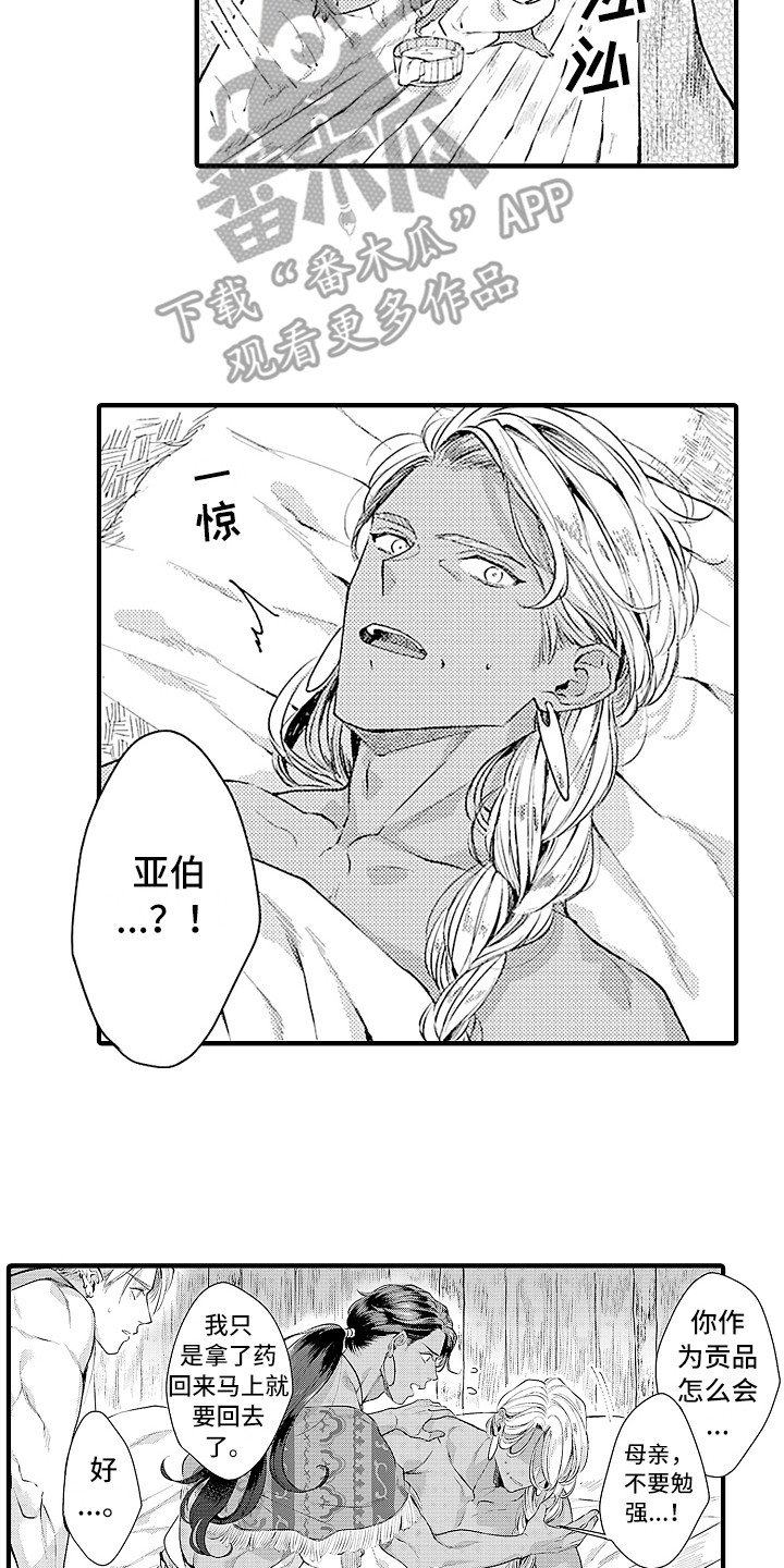 第24章：规则