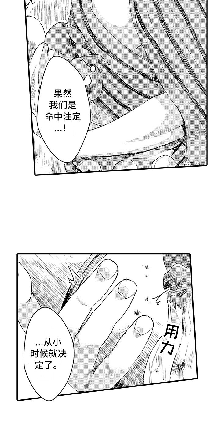 第5章：成年仪式