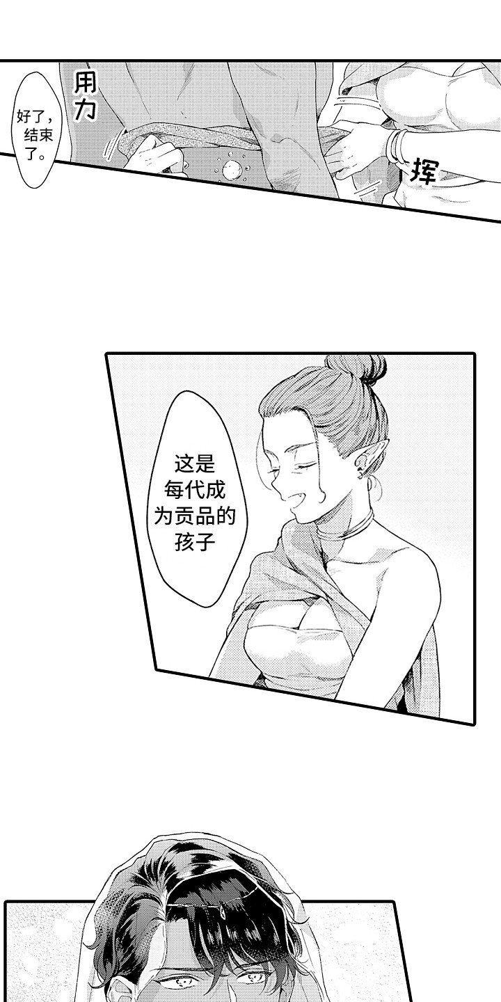 第6章：贡品