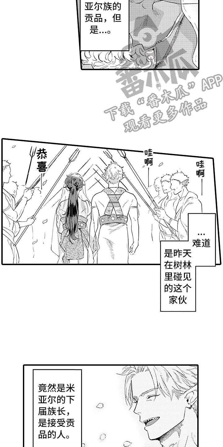 第6章：贡品
