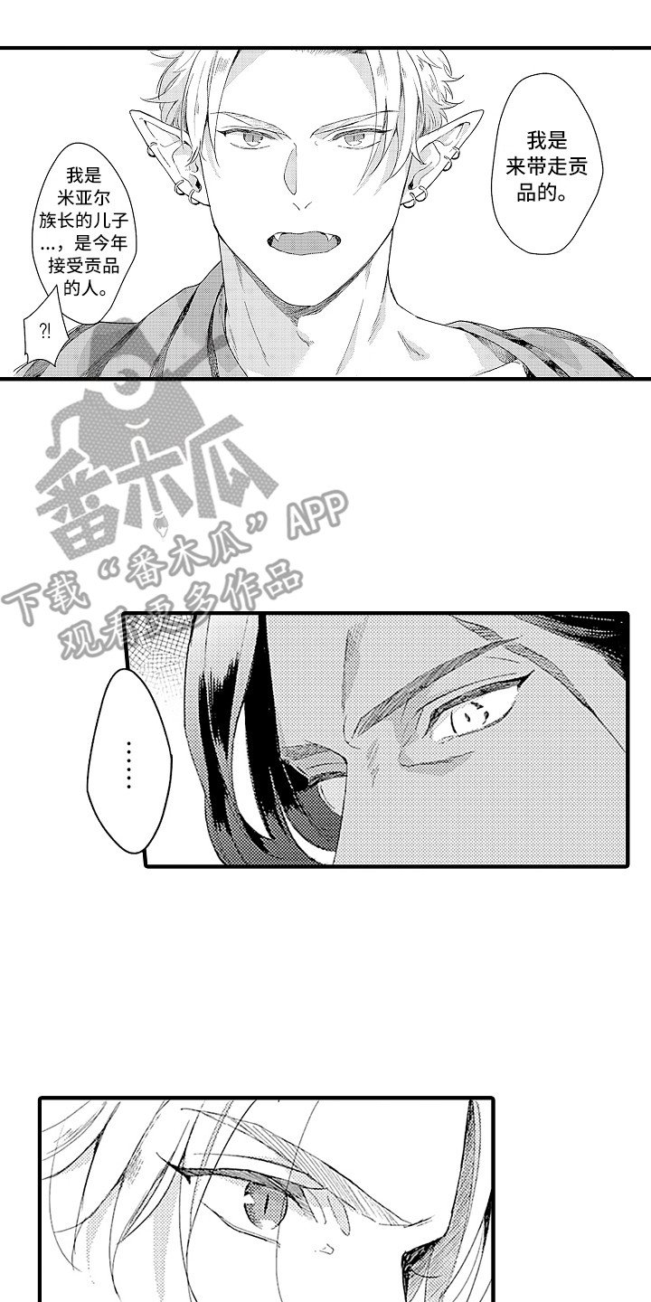 第7章：婚礼