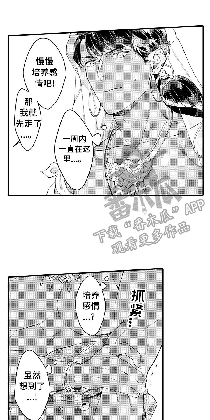 第8章：觉悟