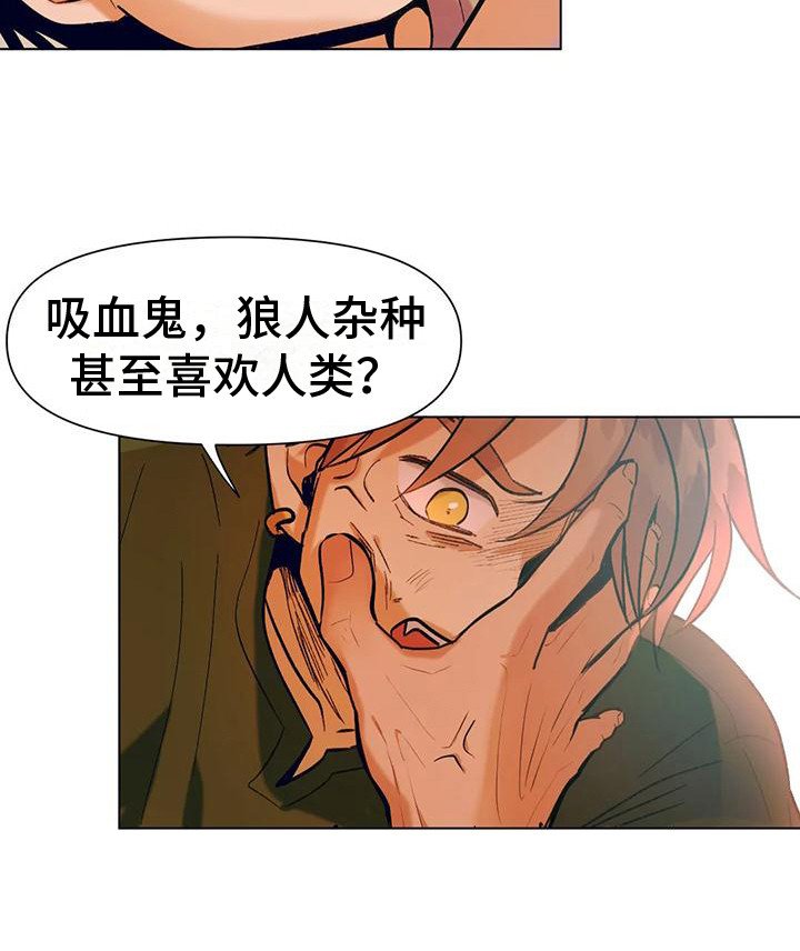 第13章：冲突