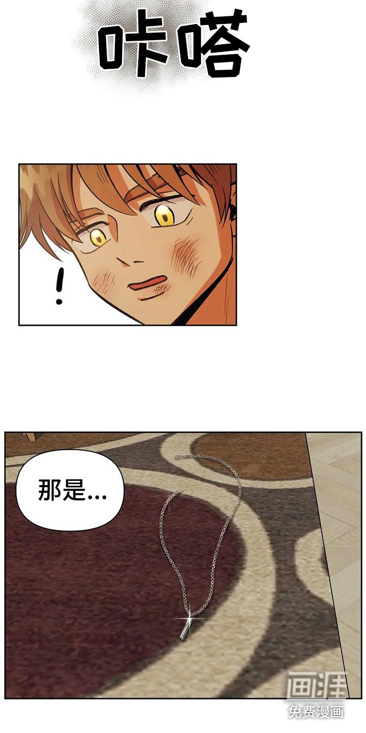 第14章：道歉