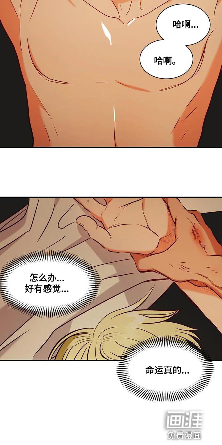 第20章：用钱补偿我们