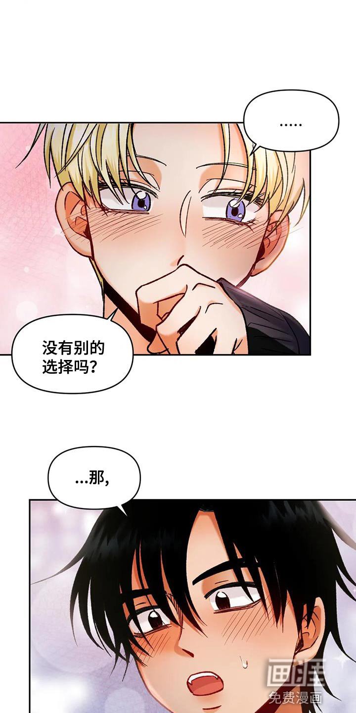 第42章：别的选择
