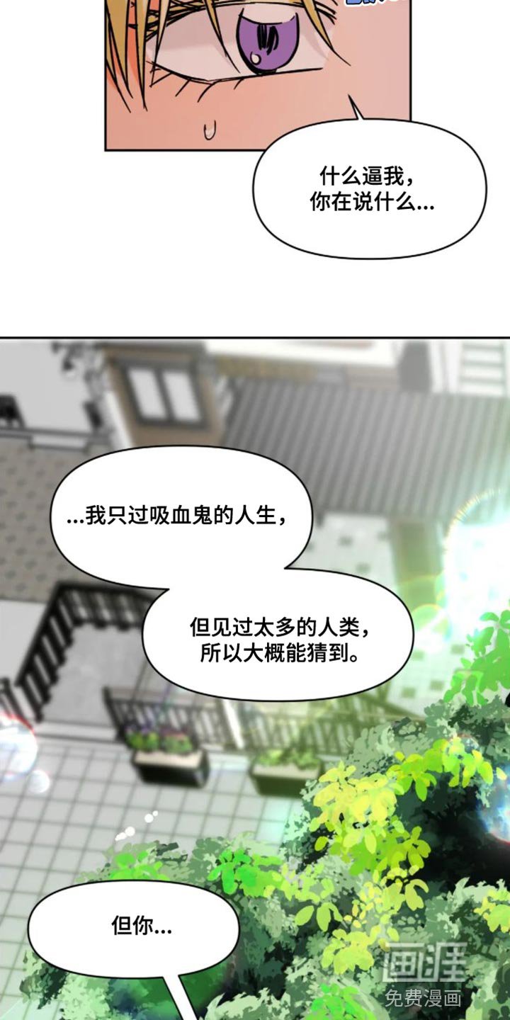 第50章：不是你该在意的事