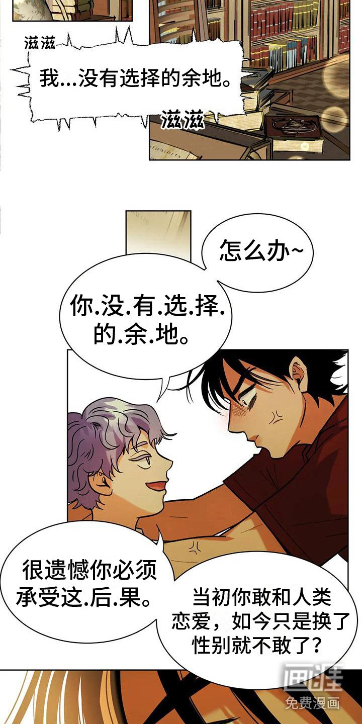 第7章：承担后果