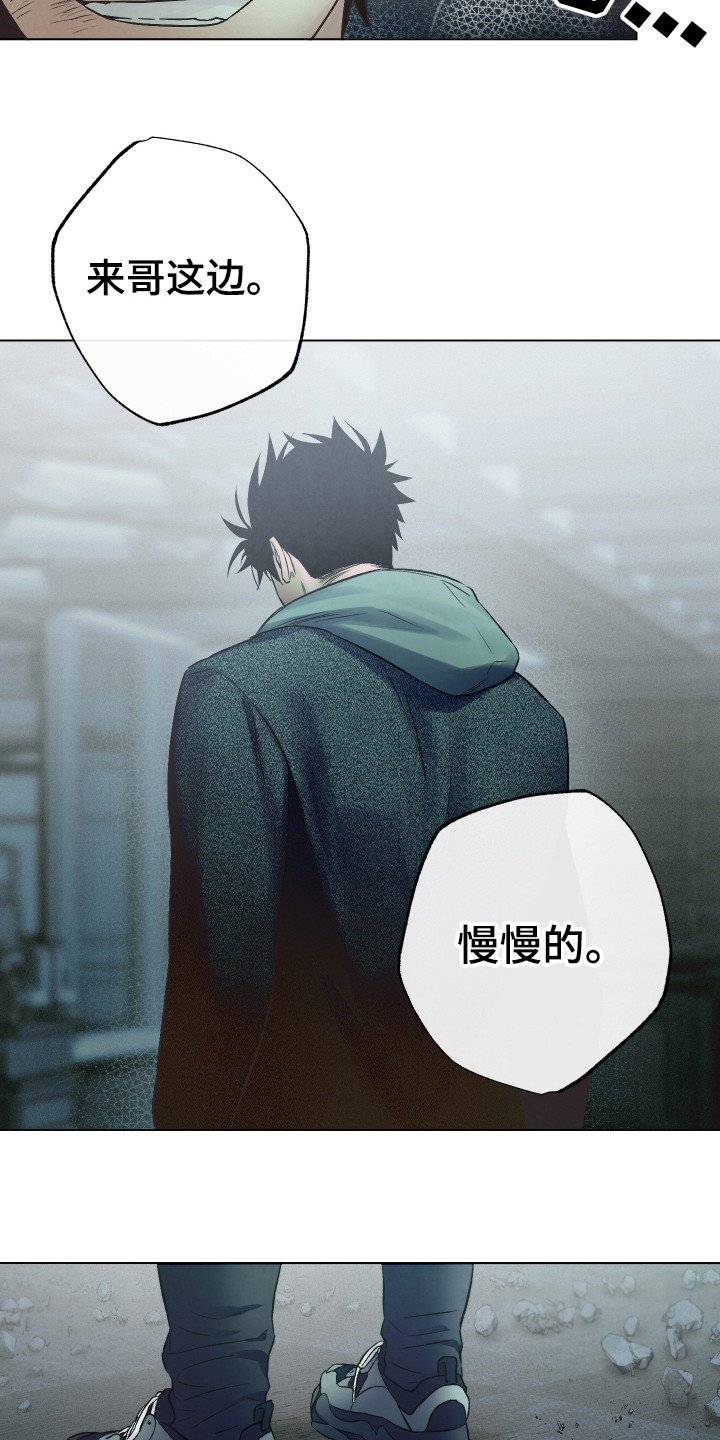 第9章：更像疯子