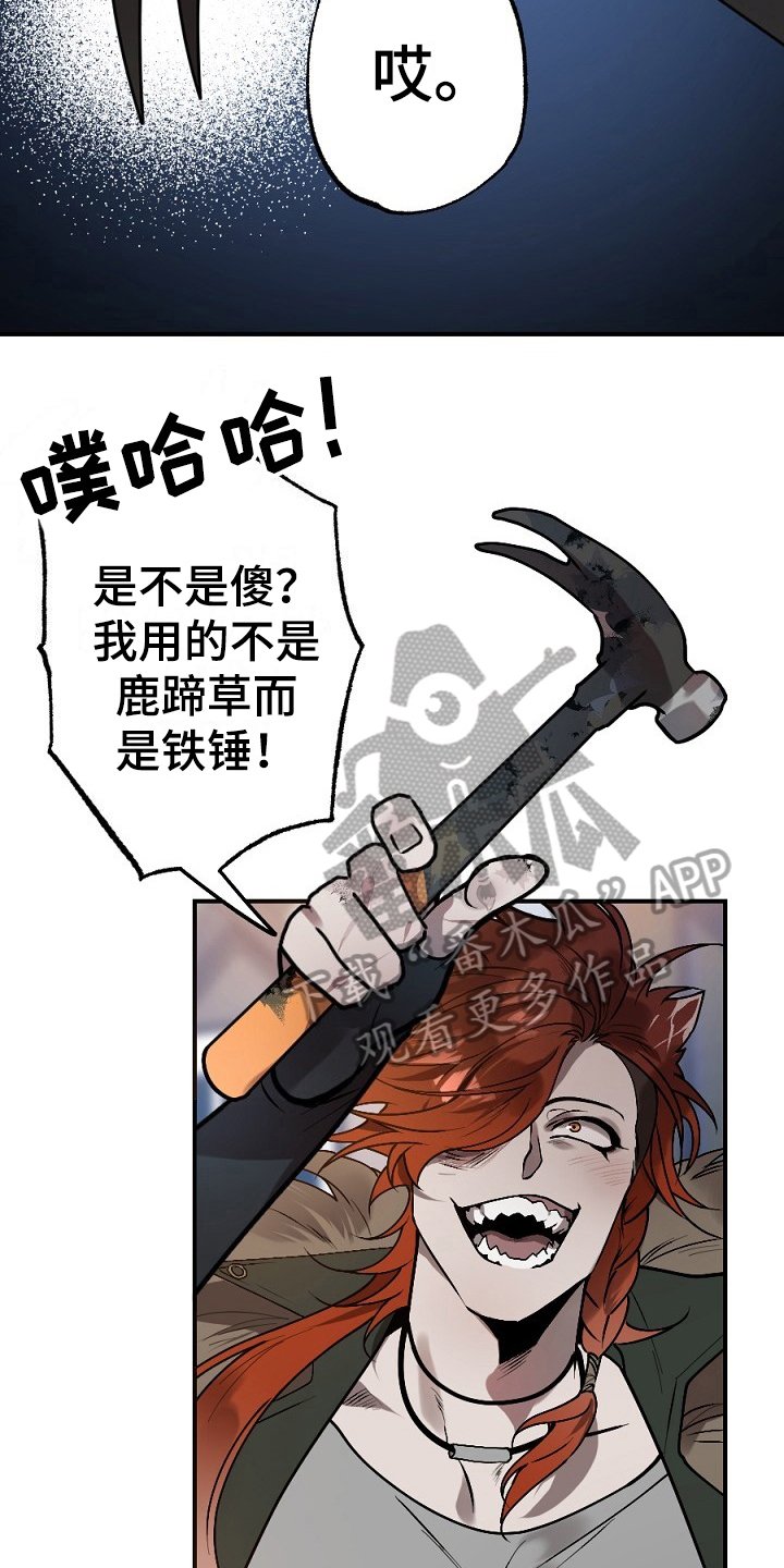 第11章：打晕