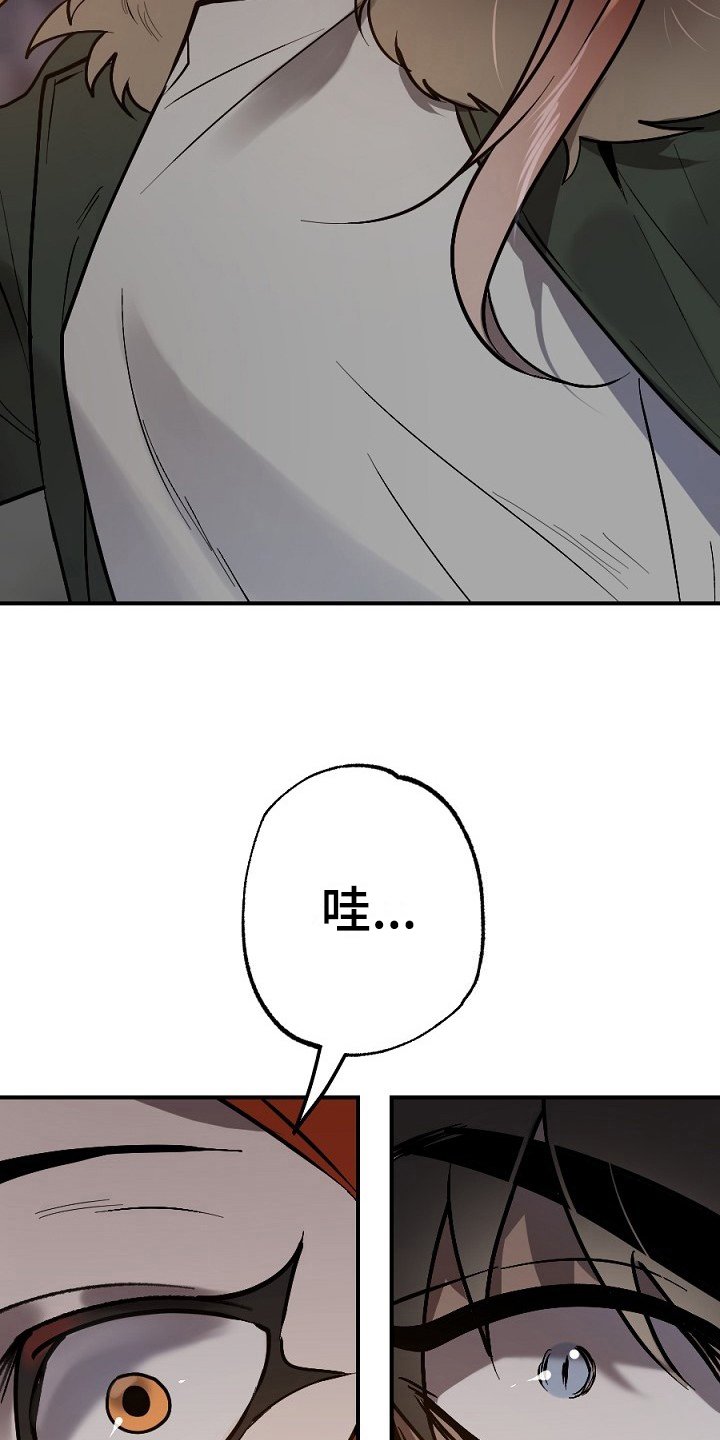 第11章：打晕