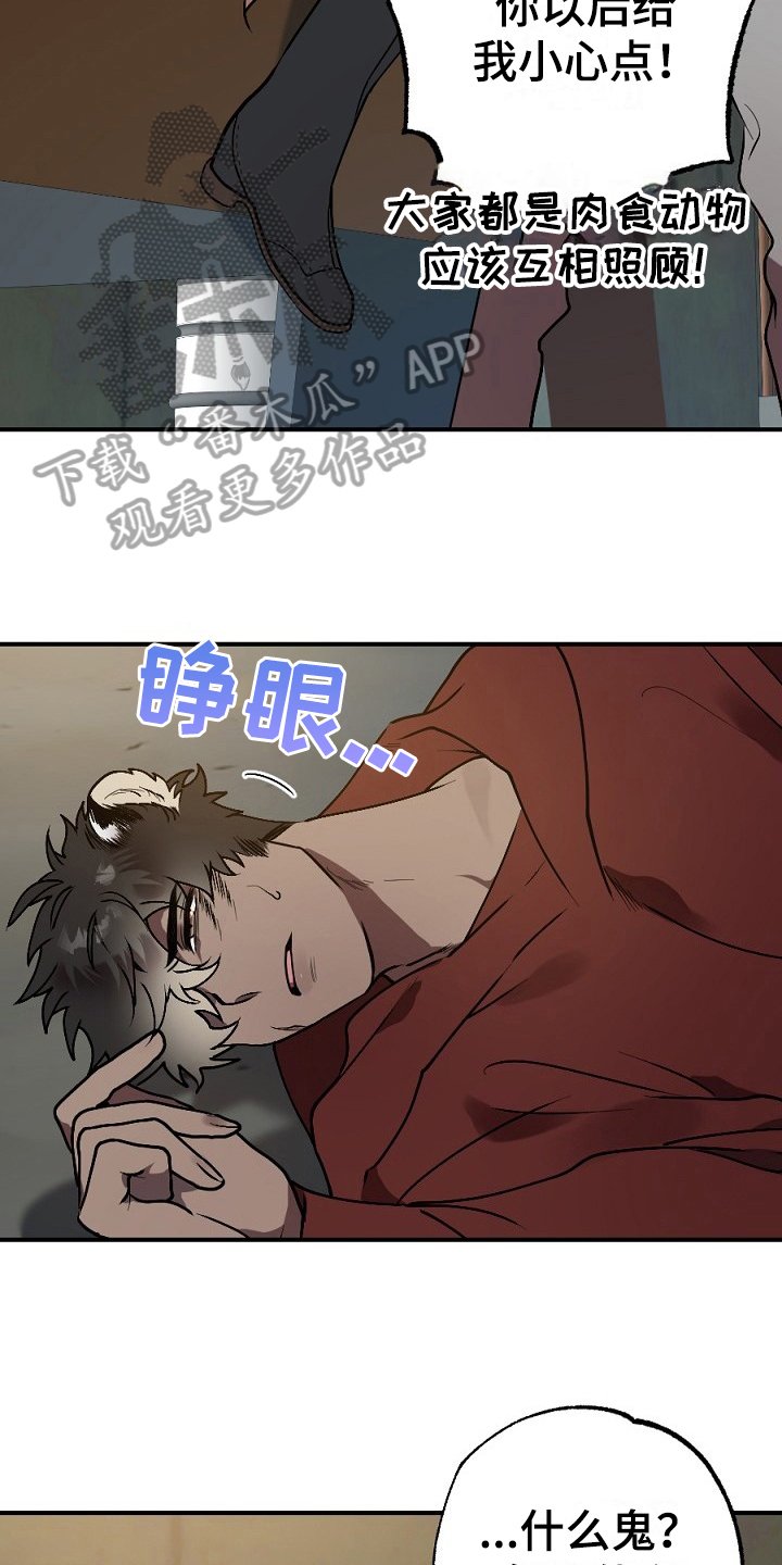 第12章：有意思