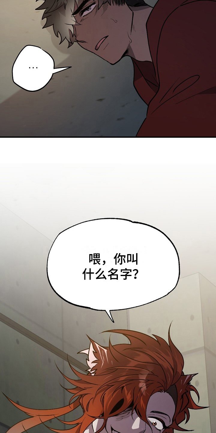 第12章：有意思