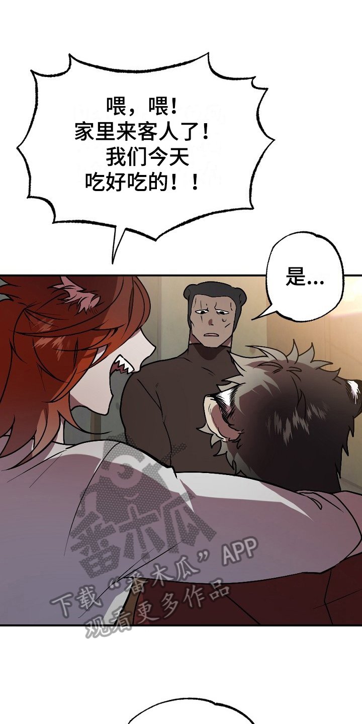 第13章：肉食
