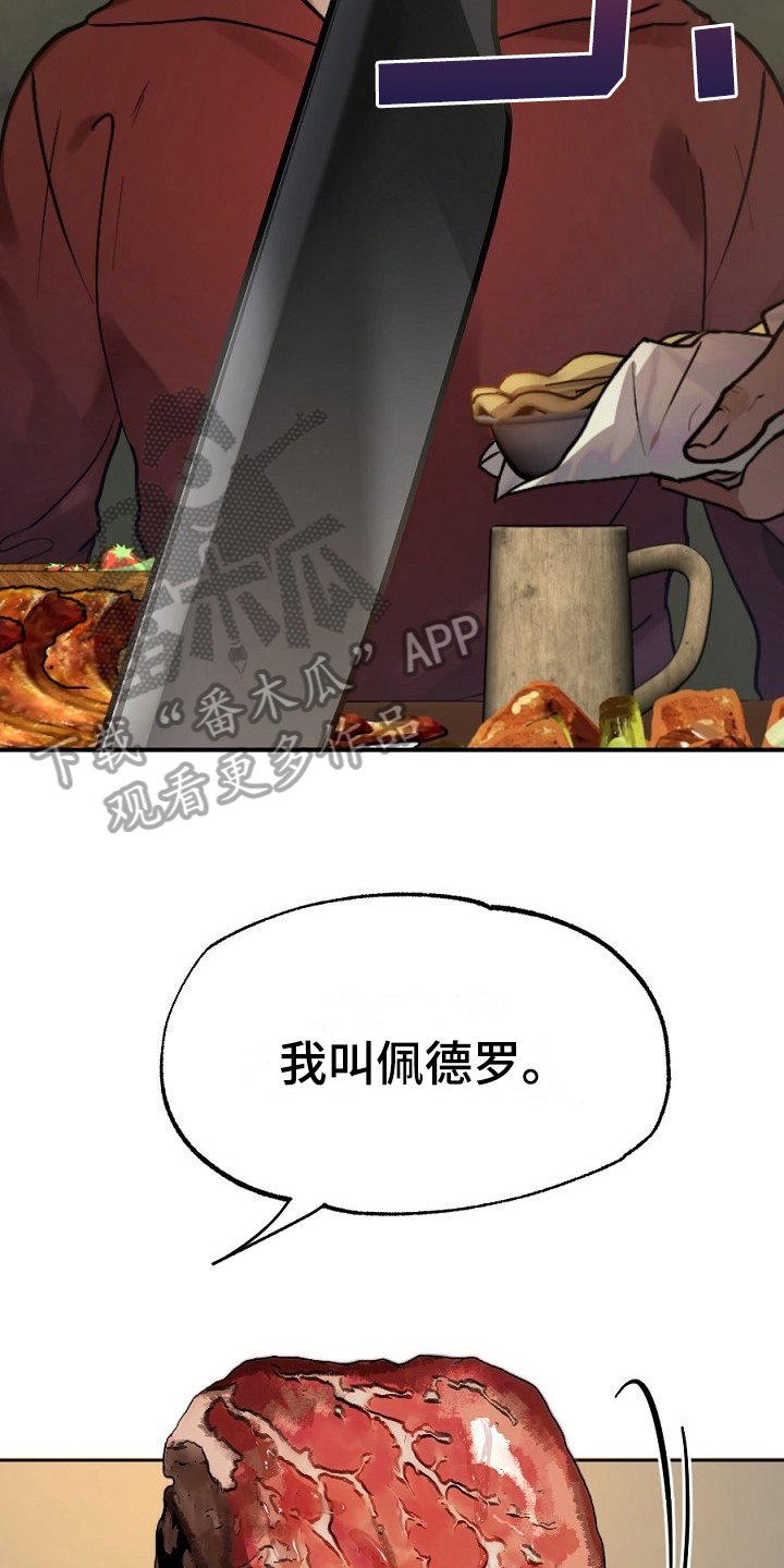 第13章：肉食