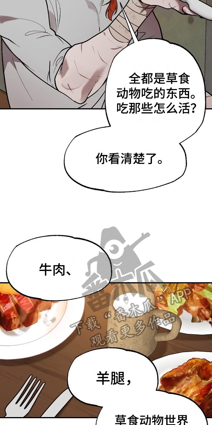 第13章：肉食