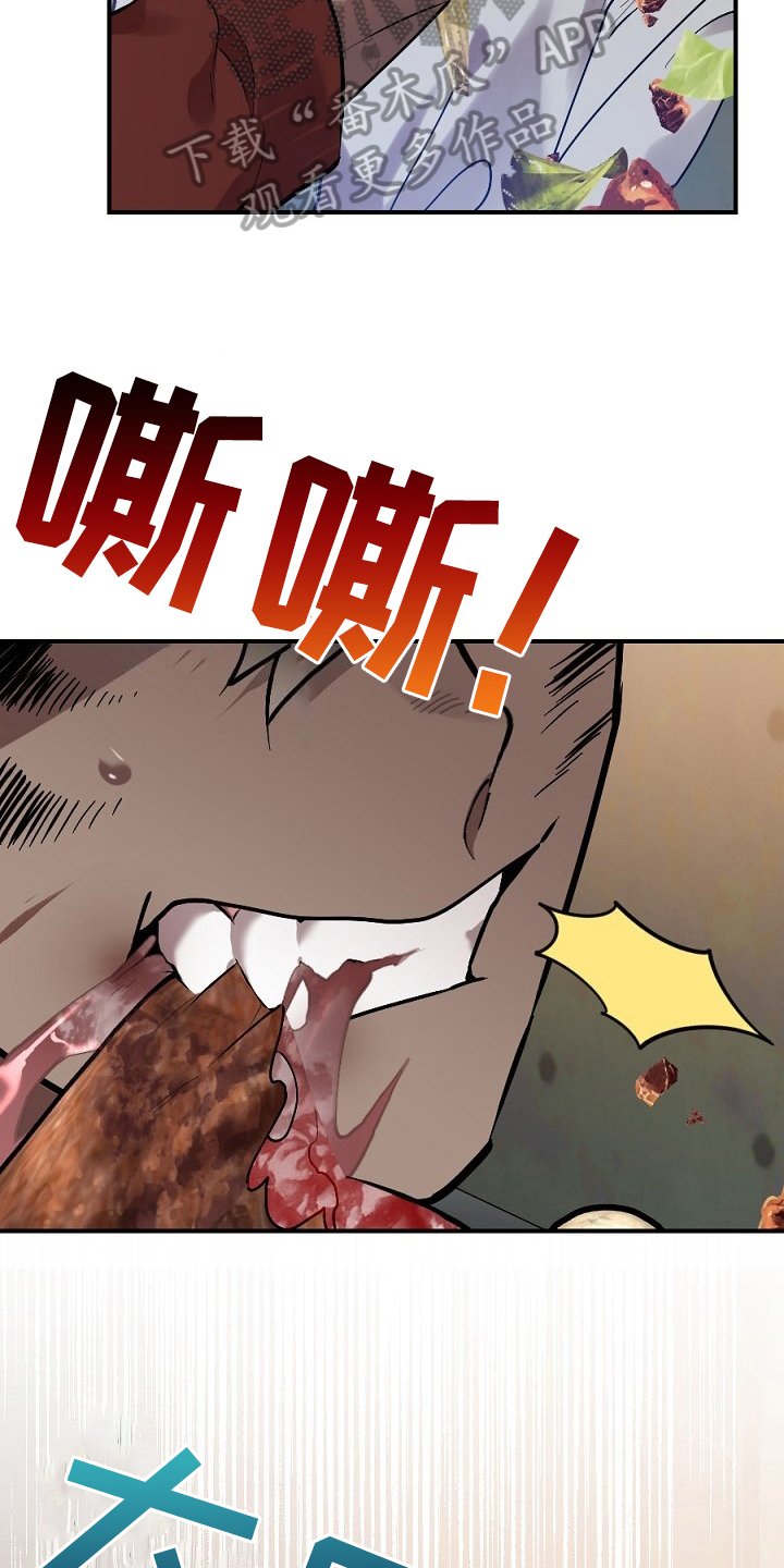 第13章：肉食