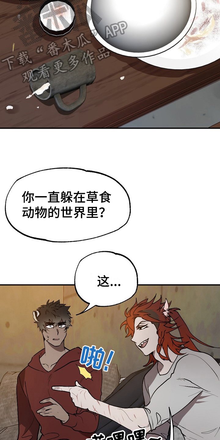 第13章：肉食