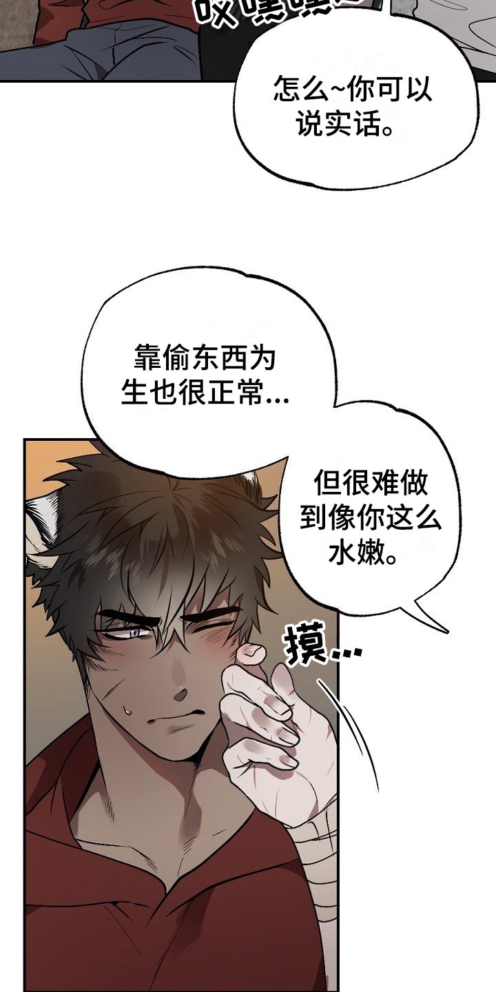 第13章：肉食