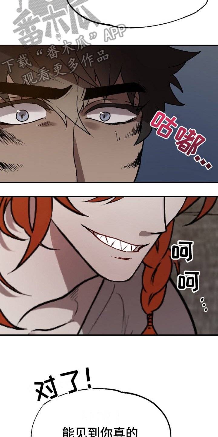 第13章：肉食