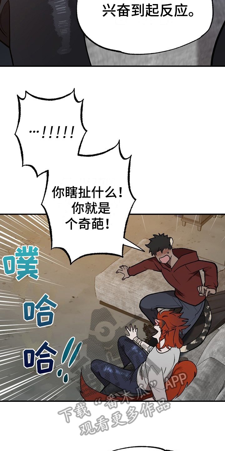 第14章：孤单