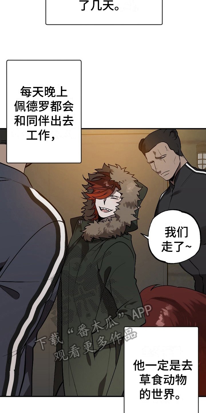 第14章：孤单